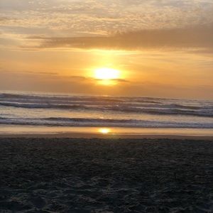 Meet your Posher, Teaony